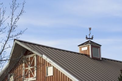 Barn Roof Painting