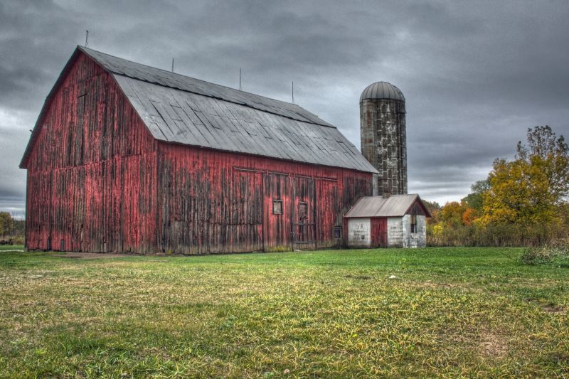 Detailed Artwork on Barn Roofs