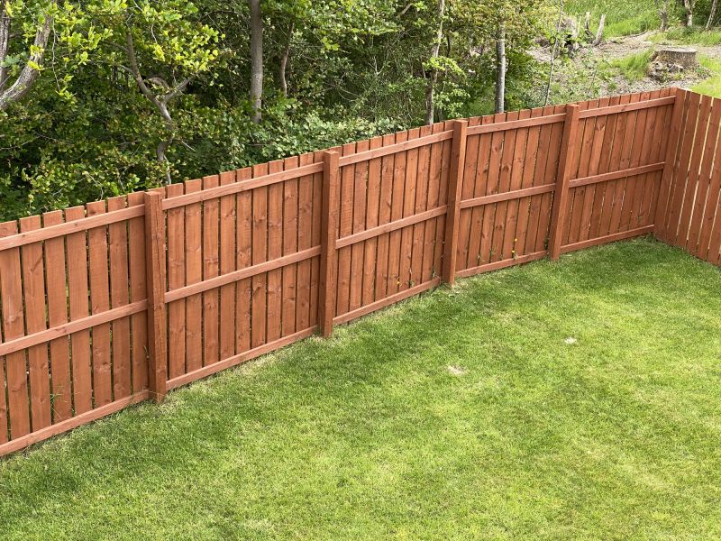 Painting of backyard fencing